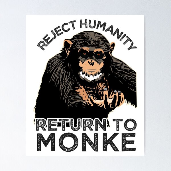 Funny Monkey Ape Chimp Memes with Funny Sayings Poster