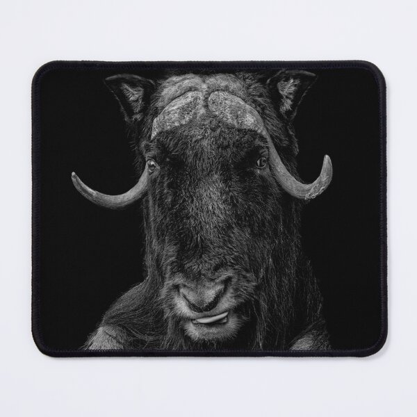 Item preview, Muskox, musk ox, musk-ox designed and sold by KlaraMacinka.