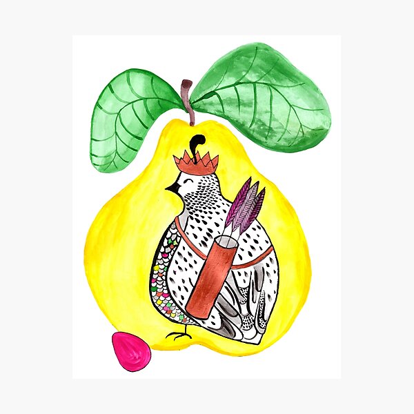 Quail in a Quince Photographic Print