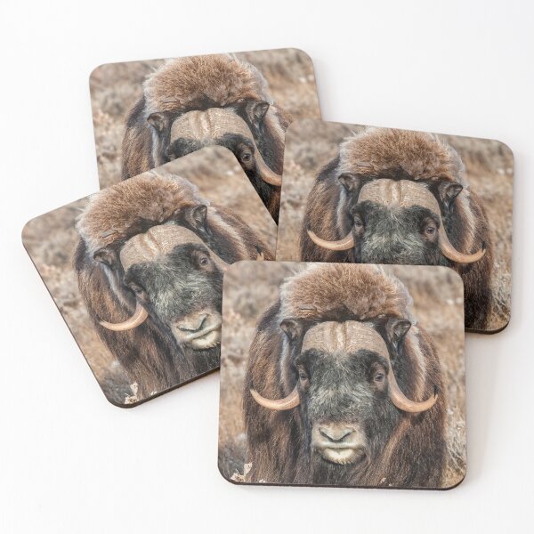 Item preview, Muskox, musk ox, musk-ox  designed and sold by KlaraMacinka.