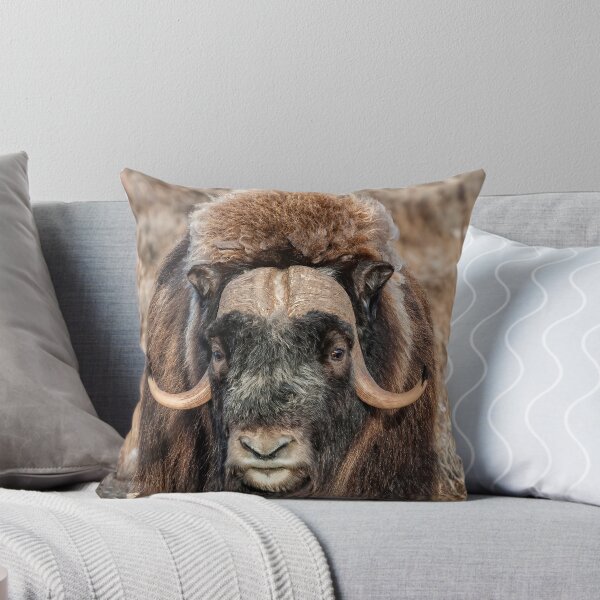 Item preview, Muskox, musk ox, musk-ox  designed and sold by KlaraMacinka.