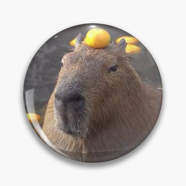 Item preview, Capybara with orange designed and sold by FunkisDesignes.