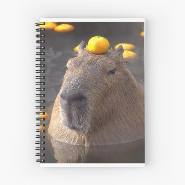 Item preview, Capybara with orange designed and sold by FunkisDesignes.