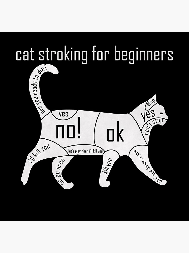 Cat Stroking For Beginners Guide - Funny Cats Chart Poster for Sale by  V0L0S