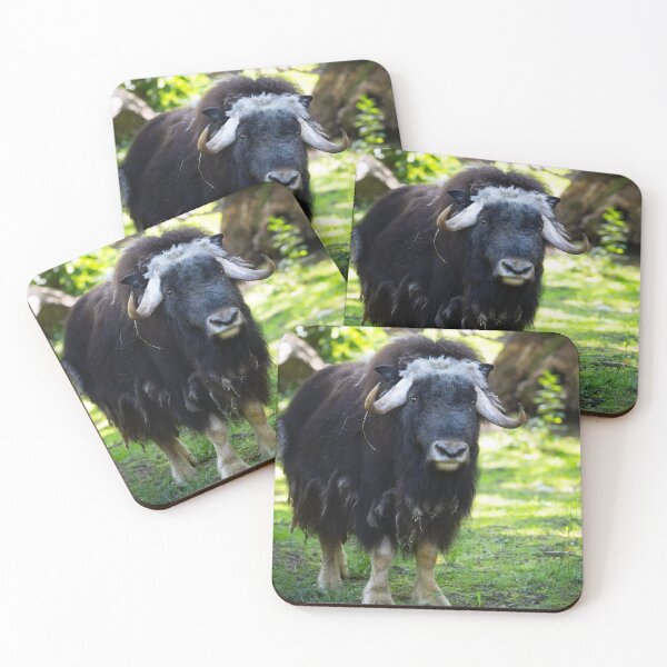 Item preview, Muskox, musk ox, musk-ox  designed and sold by KlaraMacinka.