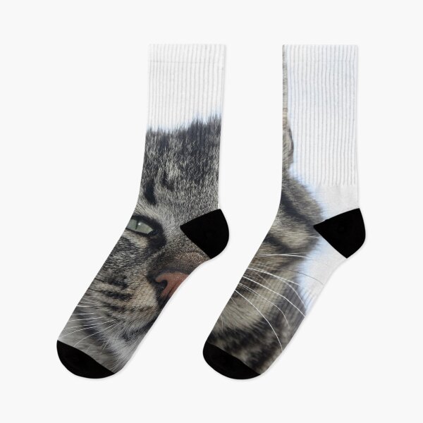 Item preview, Charming Brown Tabby Cat Photo Portrait designed and sold by taiche.
