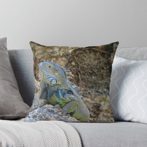 Item preview, 'Tis a Reptilian life in Aruba. designed and sold by Deborah V Townsend.