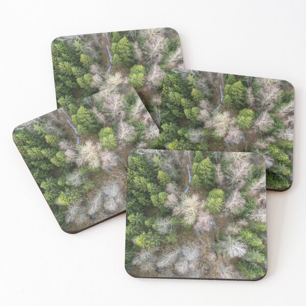 Item preview, Birch And Spruce Trees designed and sold by ONORMAL.