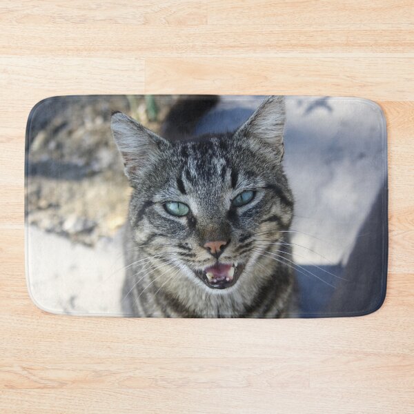 Item preview, Chatty Cat Chirruping Pet Photography designed and sold by taiche.