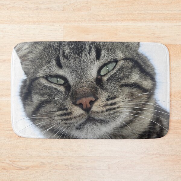 Item preview, Charming Brown Tabby Cat Photo Portrait designed and sold by taiche.