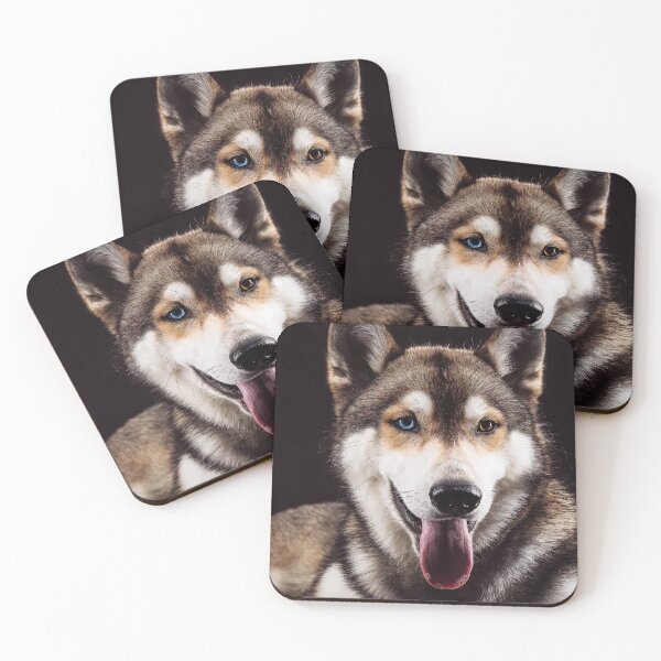 Item preview, Portrait Siberian Husky With Different Colored Eyes designed and sold by ONORMAL.