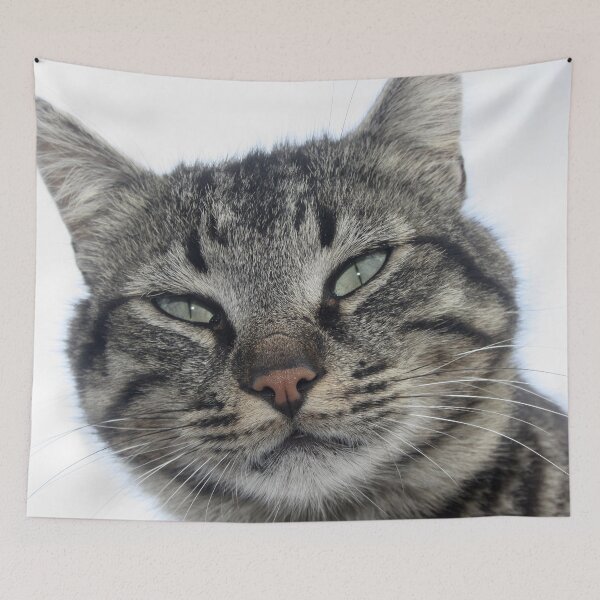 Item preview, Charming Brown Tabby Cat Photo Portrait designed and sold by taiche.