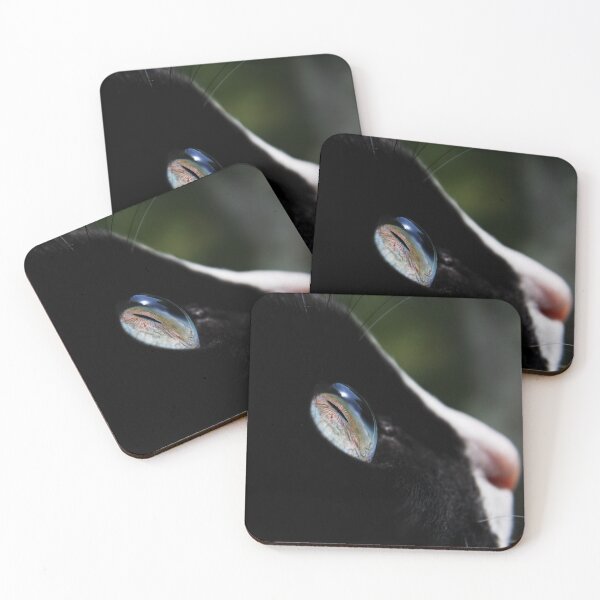 Item preview, Cat profile - beautiful eye focus designed and sold by Ingrid Beddoes Photography.
