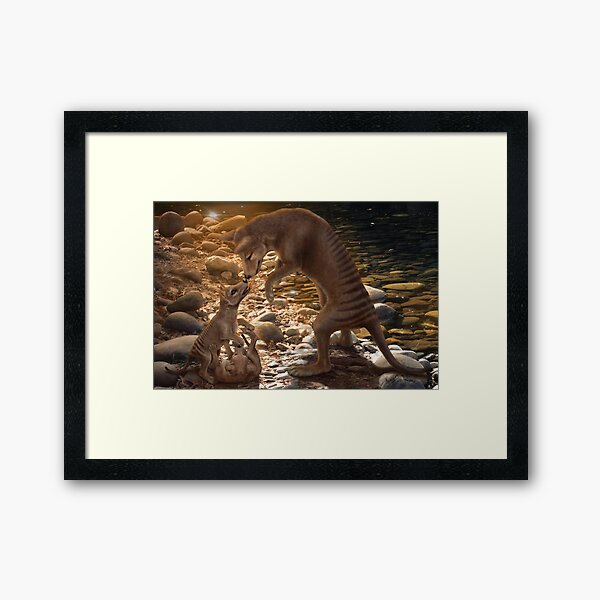 Afternoon Playtime - Thylacine Framed Art Print