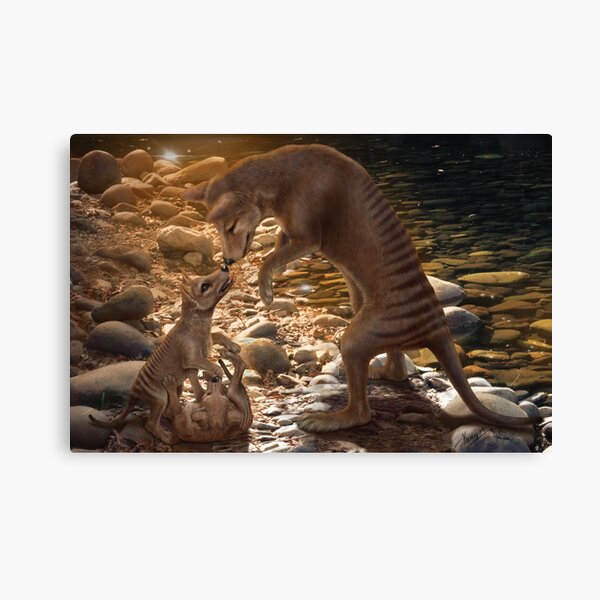 Afternoon Playtime - Thylacine Canvas Print