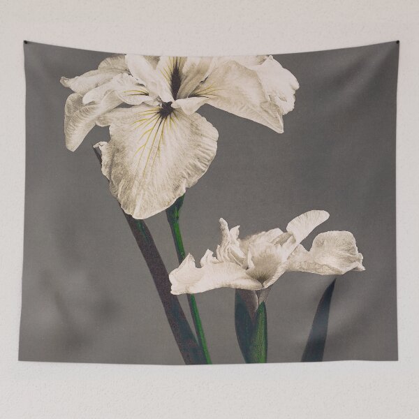 Item preview, Antique Iris Kaempferi Collotype  designed and sold by jadeandjester.