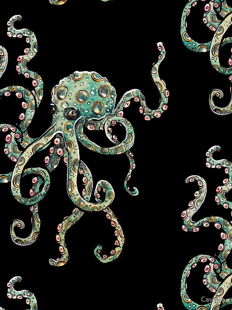 Octopus by Caviglia