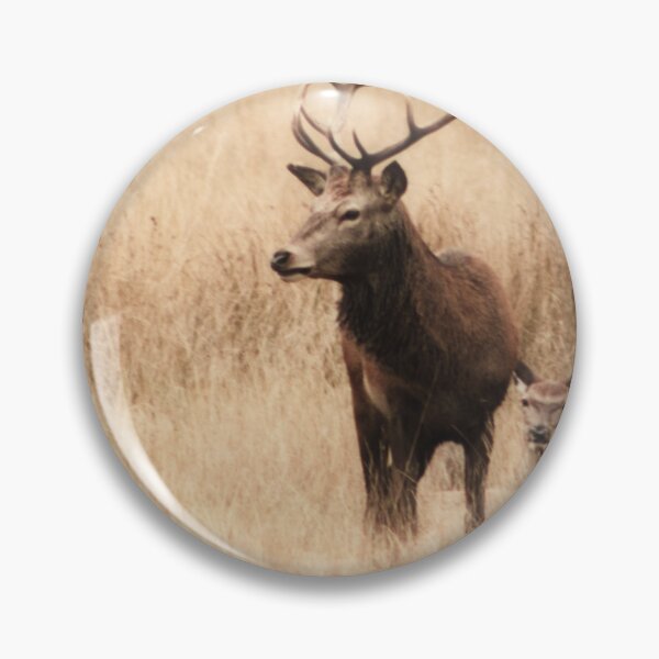 Item preview, Deer in Richmond Park designed and sold by JRussell-Photo.
