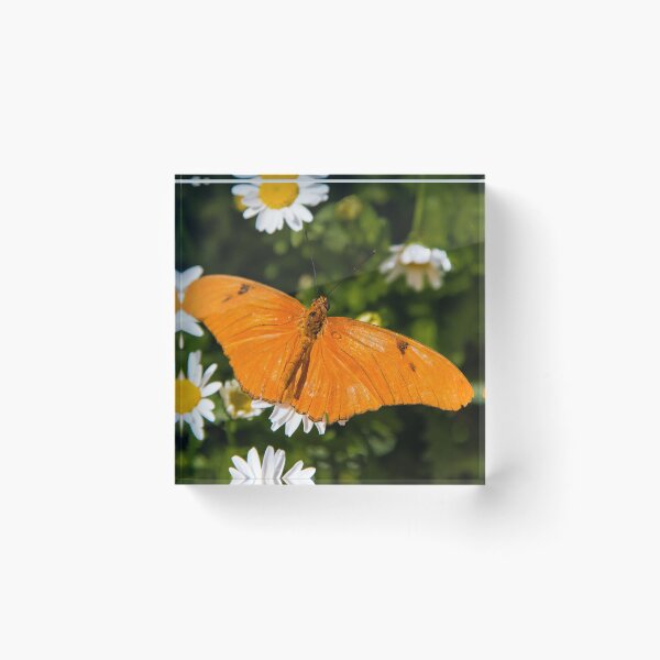 Item preview, Orange Longwing designed and sold by BGSPhoto.