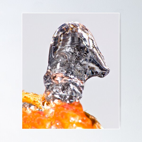 Aperçu de l'œuvre Goose Icicle (3) créée et vendue par robkal.