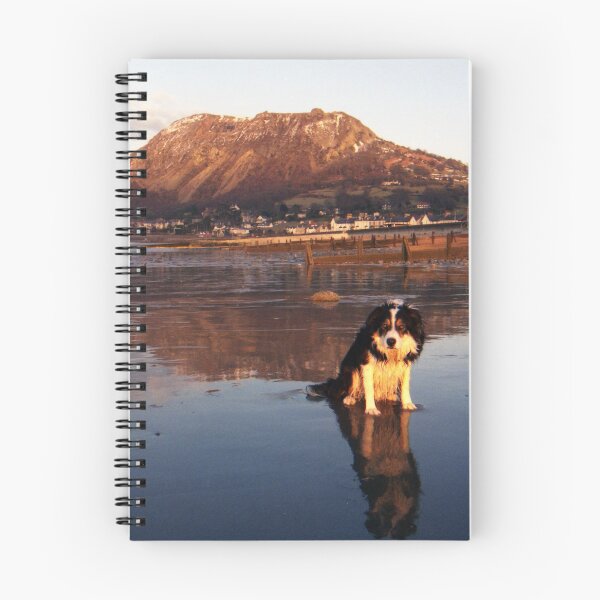 Item preview, Reflections Of Laddie designed and sold by Michael Haslam.