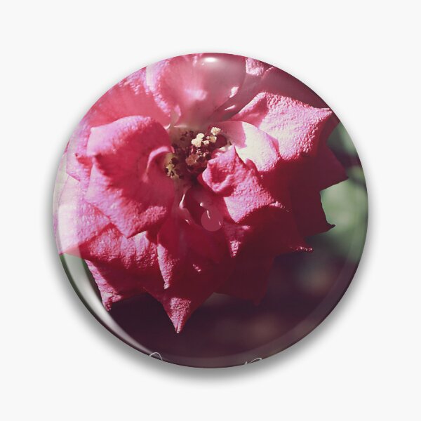 Item preview, Kashmir Rose | nature designed and sold by VeenaNair23.