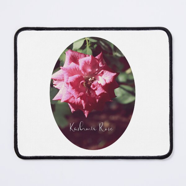 Item preview, Kashmir Rose | nature designed and sold by VeenaNair23.