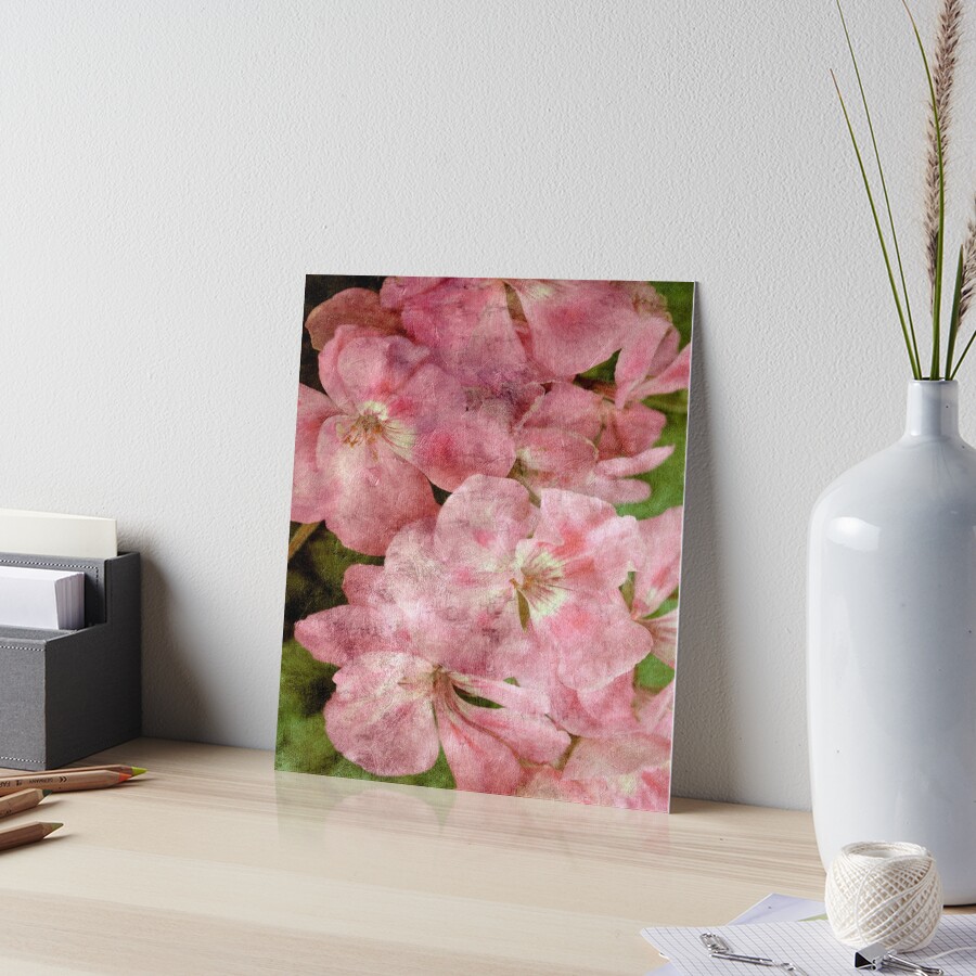 Souvenir Art Board Print