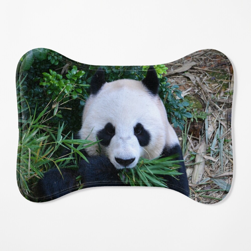 Throw Pillow giant panda while eating bamboo 