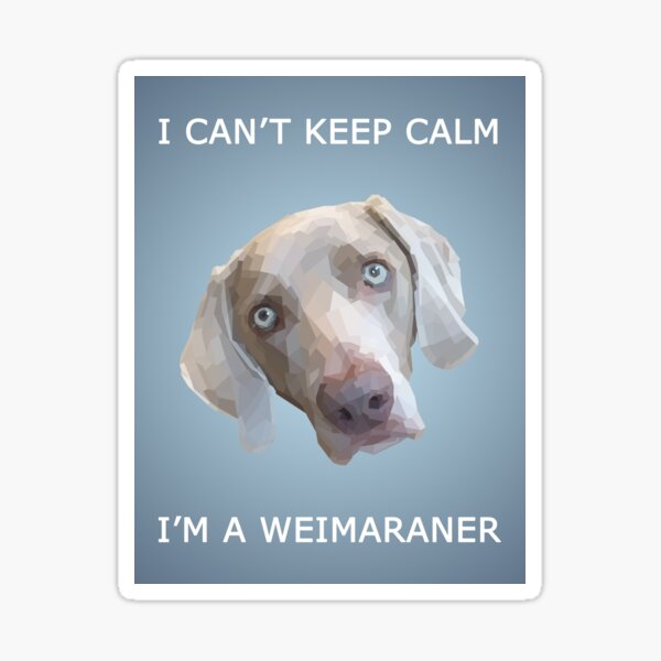 Trucker Dog I Truck Driver Weimaraner' Sticker