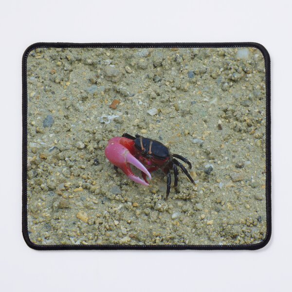 Item preview, Cute Fiddler Crab designed and sold by KaSaPo.
