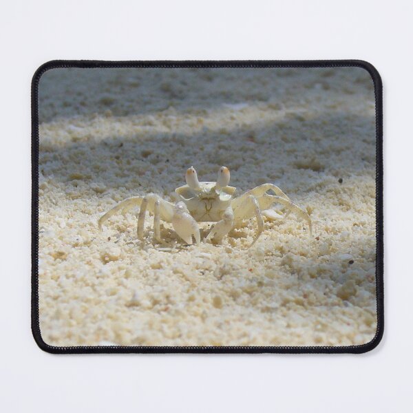 Item preview, Cute Sand Crab designed and sold by KaSaPo.