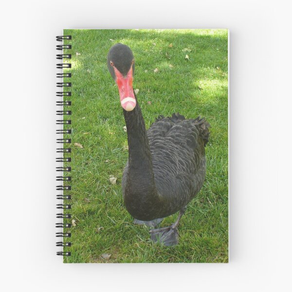 Item preview, Black Swan designed and sold by KaSaPo.