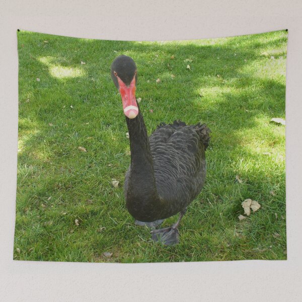 Item preview, Black Swan designed and sold by KaSaPo.