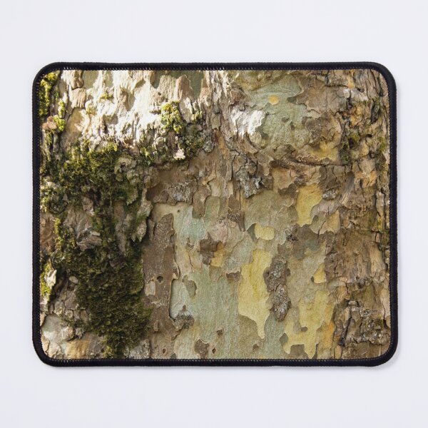 Item preview, Trees Of Lisbon - 1 ©  designed and sold by © Hany G. Jadaa © Prince John Photography.