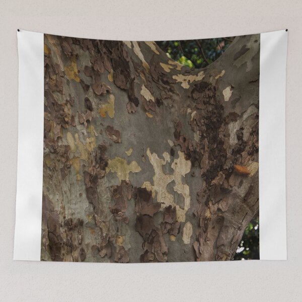 Item preview, Trees Of Lisbon - 2 ©  designed and sold by © Hany G. Jadaa © Prince John Photography.