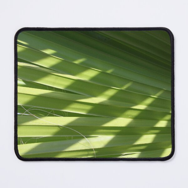 Item preview, Ruffled Fan Palm Pleated Fronds With Shadows Photograph designed and sold by taiche.