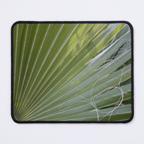 Item preview, Photographic Abstract Of Fan Palm With Fibrous Threads designed and sold by taiche.