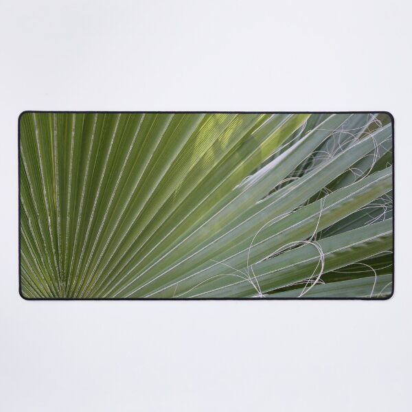 Item preview, Photographic Abstract Of Fan Palm With Fibrous Threads designed and sold by taiche.