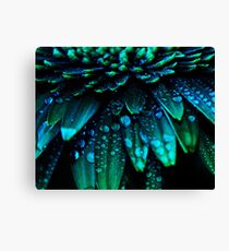 Midnight Blue Canvas Print