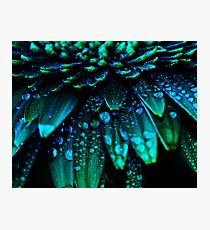 Midnight Blue Fotodruck