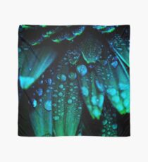 Midnight Blue Scarf