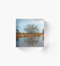 Natural Light Acrylic Block