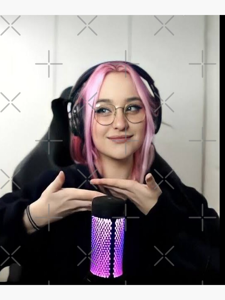 "Niki nihachu dream smp " Poster for Sale by bestizeyy Redbubble