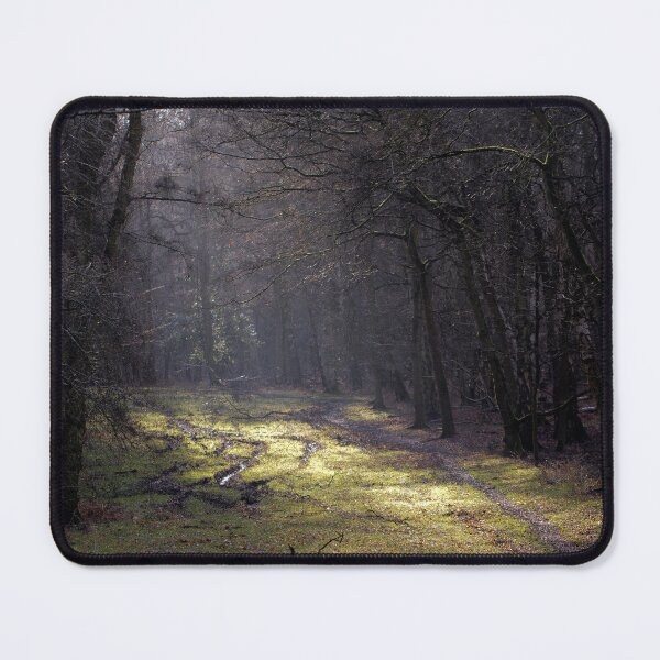 Item preview, Sunrise in Ashridge Forest designed and sold by JRussell-Photo.