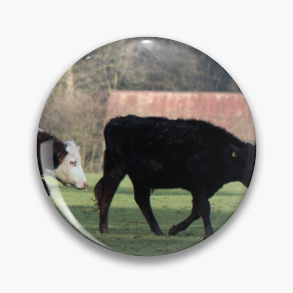 Item preview, Cows in the field designed and sold by JRussell-Photo.