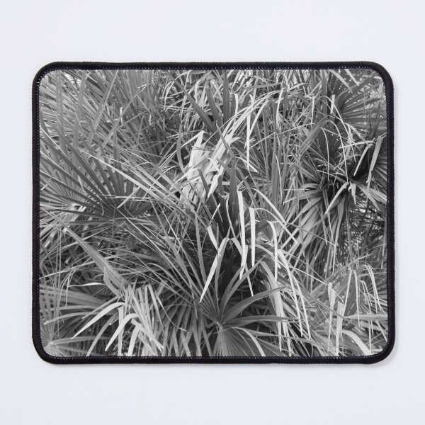 Item preview, Fan Palm Fronds Greyscale Abstract Monotone Photography designed and sold by taiche.