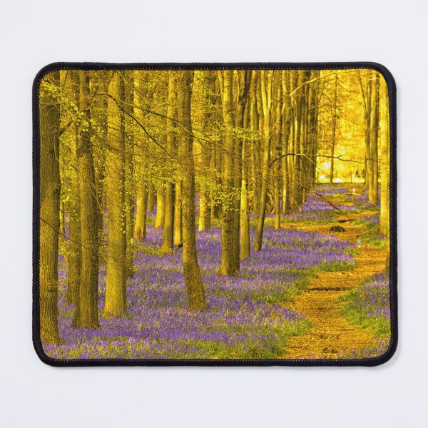 Item preview, Bluebells of Dockey Wood designed and sold by JRussell-Photo.