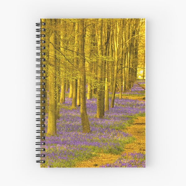 Item preview, Bluebells of Dockey Wood designed and sold by JRussell-Photo.