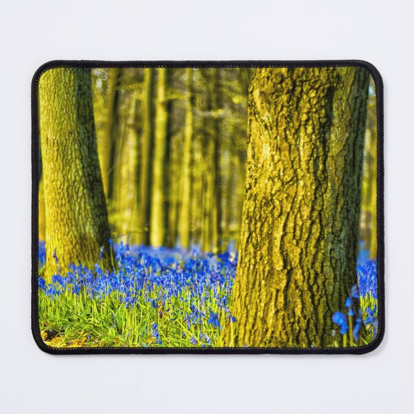 Item preview, Bluebells of Dockey Wood designed and sold by JRussell-Photo.